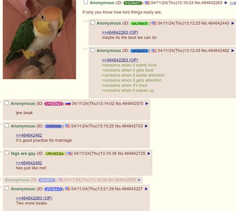 pol 4chan|Iba pa.